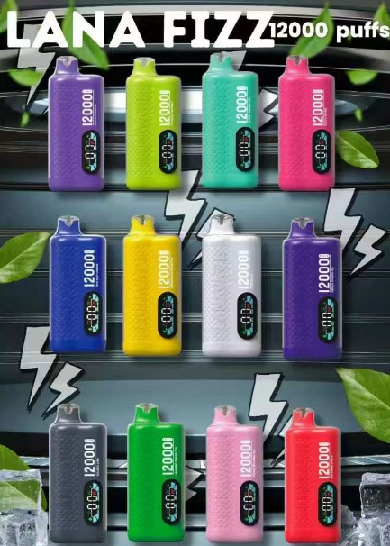 LANA FIZZ 12K DISPO KIT SET - Image 2